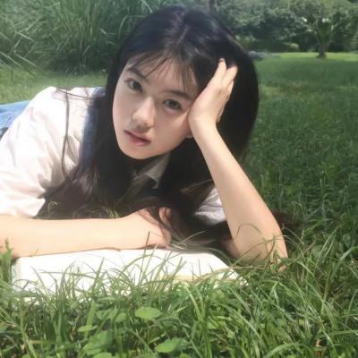 功夫阿宝：天下无拐