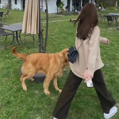 无名浪子心