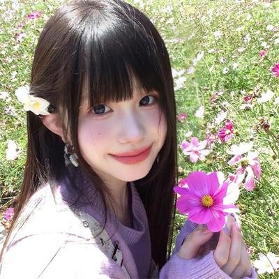 蓝色矢车菊